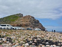Cape of good hope, Chapmans Peak