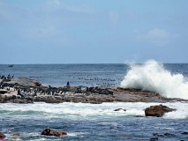 17: 1_DSC_5531_lores