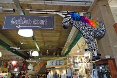 17: 1_DSC00538_lores