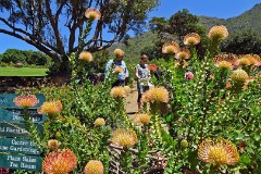 39: 1_DSC00557_lores