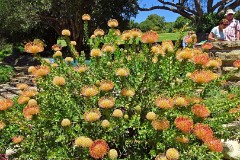 41: 1_DSC00561_lores