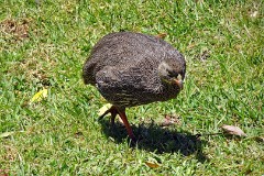 49: 1_DSC00578_lores