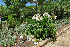 50: 1_DSC00582_lores