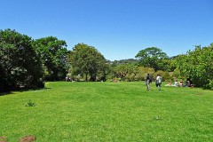 52: 1_DSC00585_lores