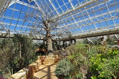 56: 1_DSC00601_lores