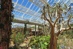 57: 1_DSC00602_lores