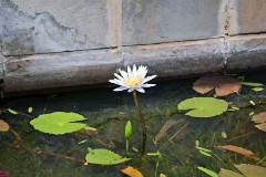 21: 1_DSC_5588_lores