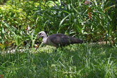 24: 1_DSC_5597_lores