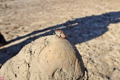 12: 1_DSC01691_lores