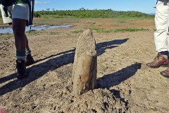 13: 1_DSC01692_lores