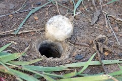 16: 1_DSC01723_lores