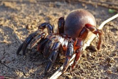 19: 1_DSC01730_lores