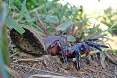 20: 1_DSC01734_lores