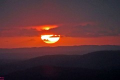 25: 1_DSC01764_lores