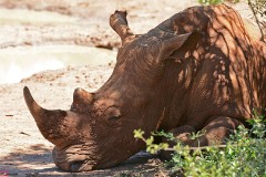 34: 1_DSC_6699_lores