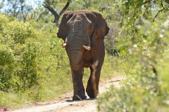 37: 1_DSC_6709_lores