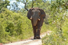 38: 1_DSC_6710_lores