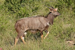 40: 1_DSC_6713_lores