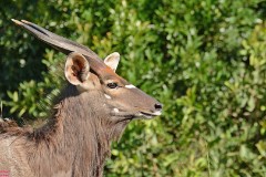 39: 1_DSC_6714_lores