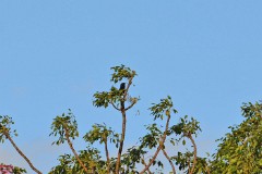 41: 1_DSC_6744_lores