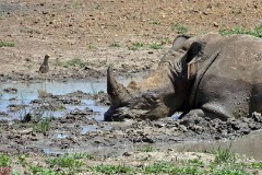 30: 1_DSC01795_lores