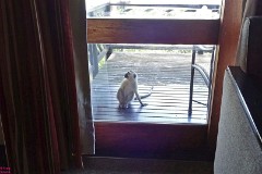 43: 1_DSC01821_lores