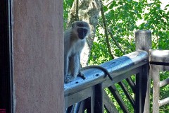 44: 1_DSC01822_lores