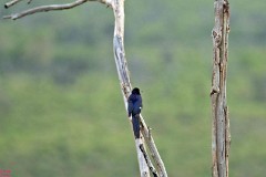 10: 1_DSC_6842_lores