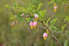 13: 1_DSC_6856_lores