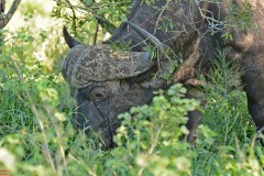 18: 1_DSC_6876_lores