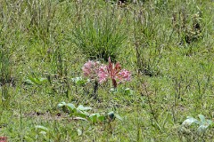 21: 1_DSC_6907_lores