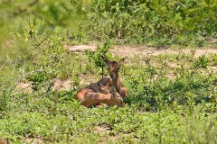 26: 1_DSC_6943_lores