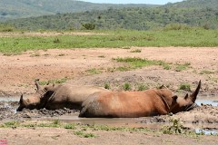 29: 1_DSC_6963_lores