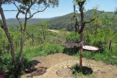 32: 1_DSC01908_lores