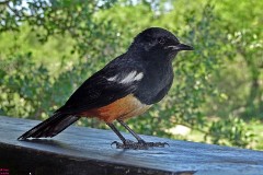 35: 1_DSC01935_lores