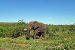 36: 1_DSC01944_lores