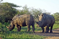 37: 1_DSC01958_lores