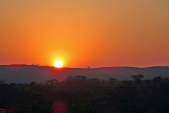 29: 1_DSC01970_lores