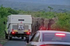 41: 1_DSC01975_lores