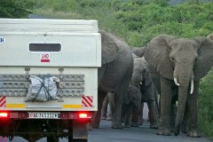 42: 1_DSC01977_lores