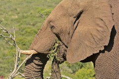 14: 1_DSC_7163_lores