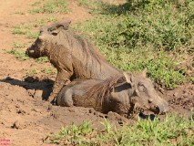 16: 1_DSC_7202_lores