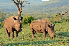 24: 1_DSC_7272_lores