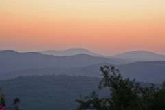 28: 1_DSC_7289_lores