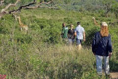 6: 1_DSC02041a_lores