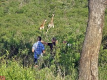 7: 1_DSC02046a_lores