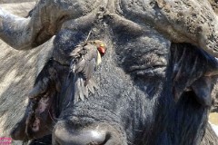 16: 1_DSC02080_lores