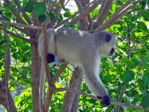 56: 1_DSC02165_lores