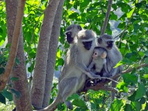 54: 1_DSC02169_lores