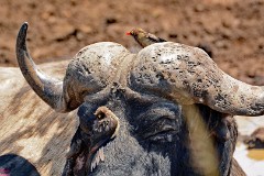 13: 1_DSC_7319_lores